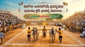 ongole bull race