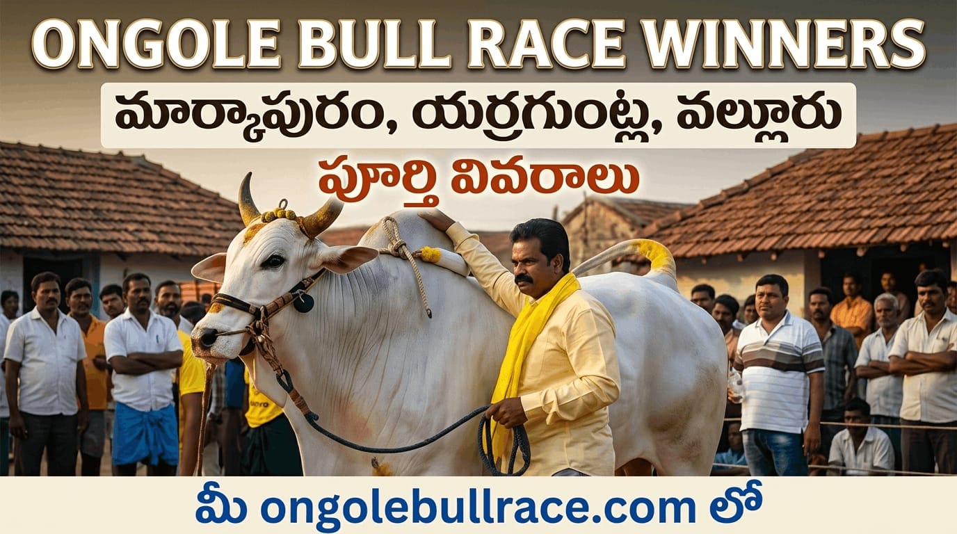 Ongole Bull Race Winners